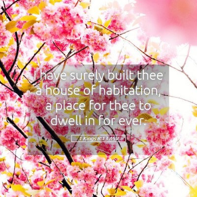 Picture 05 - 1 Kings 8:13 ASV - I have surely built thee a house of habitation, a - Bible Verse Picture