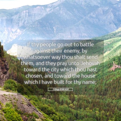 Picture 05 - 1 Kings 8:44 ASV - If thy people go out to battle against their - Bible Verse Picture