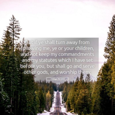 Picture 05 - 1 Kings 9:6 ASV - But if ye shall turn away from following me, ye - Bible Verse Picture