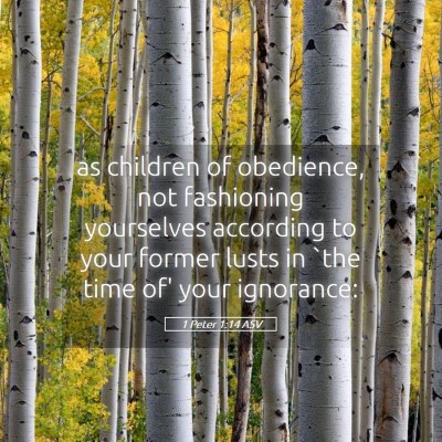 Picture 05 - 1 Peter 1:14 ASV - as children of obedience, not fashioning - Bible Verse Picture