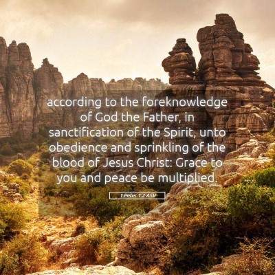 Picture 05 - 1 Peter 1:2 ASV - according to the foreknowledge of God the Father, - Bible Verse Picture