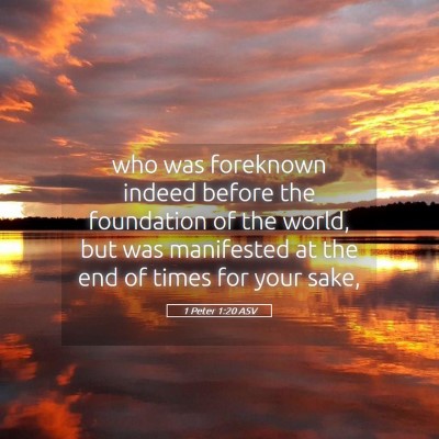 Picture 05 - 1 Peter 1:20 ASV - who was foreknown indeed before the foundation of - Bible Verse Picture