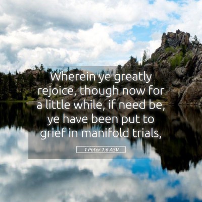 Picture 05 - 1 Peter 1:6 ASV - Wherein ye greatly rejoice, though now for a - Bible Verse Picture