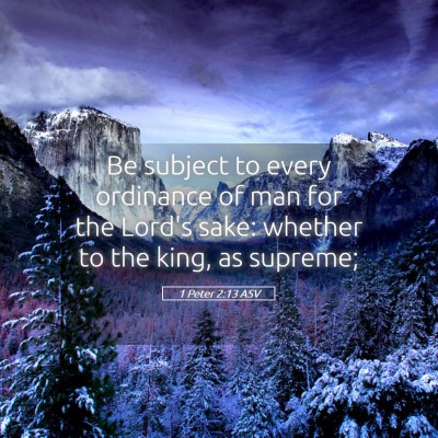 Picture 05 - 1 Peter 2:13 ASV - Be subject to every ordinance of man for the - Bible Verse Picture
