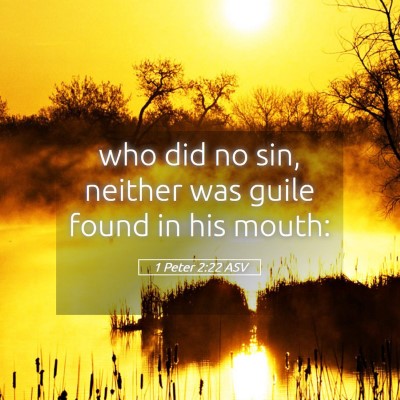Picture 05 - 1 Peter 2:22 ASV - who did no sin, neither was guile found in his - Bible Verse Picture