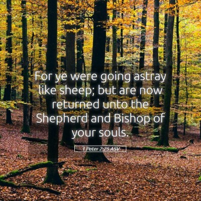 Picture 05 - 1 Peter 2:25 ASV - For ye were going astray like sheep; but are now - Bible Verse Picture