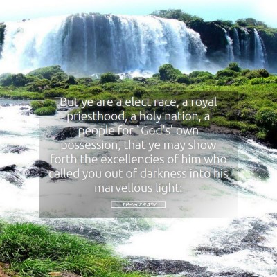 Picture 05 - 1 Peter 2:9 ASV - But ye are a elect race, a royal priesthood, a - Bible Verse Picture