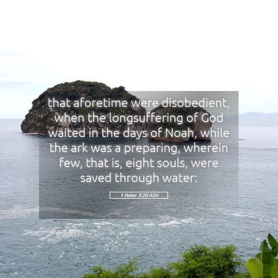 Picture 05 - 1 Peter 3:20 ASV - that aforetime were disobedient, when the - Bible Verse Picture