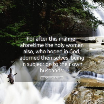 Picture 05 - 1 Peter 3:5 ASV - For after this manner aforetime the holy women - Bible Verse Picture