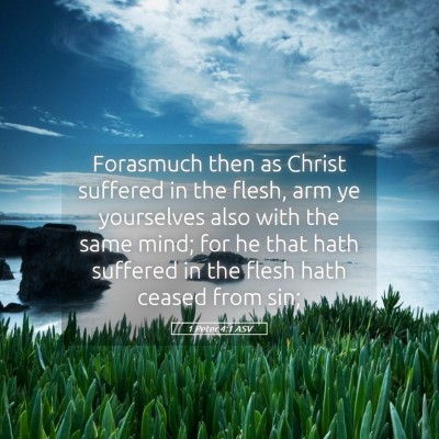 Picture 05 - 1 Peter 4:1 ASV - Forasmuch then as Christ suffered in the flesh, - Bible Verse Picture
