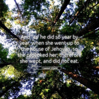 Picture 05 - 1 Samuel 1:7 ASV - And `as' he did so year by year, when she went up - Bible Verse Picture