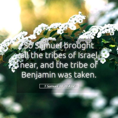 Picture 05 - 1 Samuel 10:20 ASV - So Samuel brought all the tribes of Israel near, - Bible Verse Picture