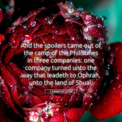 Picture 05 - 1 Samuel 13:17 ASV - And the spoilers came out of the camp of the - Bible Verse Picture