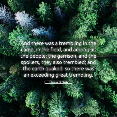 Picture 05 - 1 Samuel 14:15 ASV - And there was a trembling in the camp, in the - Bible Verse Picture