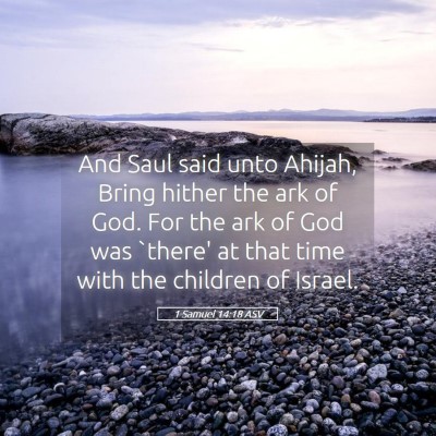 Picture 05 - 1 Samuel 14:18 ASV - And Saul said unto Ahijah, Bring hither the ark - Bible Verse Picture