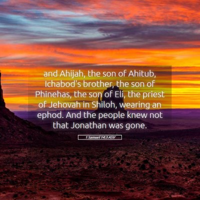 Picture 05 - 1 Samuel 14:3 ASV - and Ahijah, the son of Ahitub, Ichabod's brother, - Bible Verse Picture