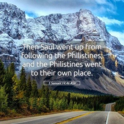 Picture 05 - 1 Samuel 14:46 ASV - Then Saul went up from following the Philistines; - Bible Verse Picture