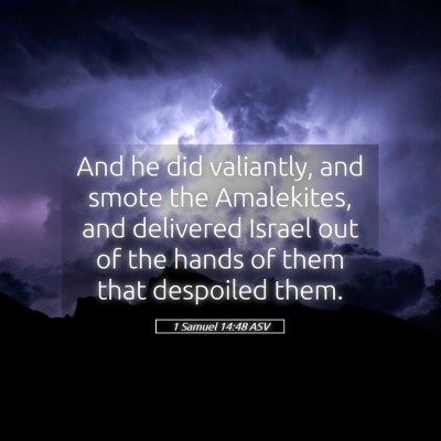 Picture 05 - 1 Samuel 14:48 ASV - And he did valiantly, and smote the Amalekites, - Bible Verse Picture
