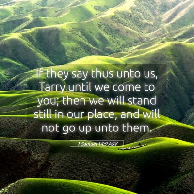 Picture 05 - 1 Samuel 14:9 ASV - If they say thus unto us, Tarry until we come to - Bible Verse Picture