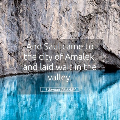 Picture 05 - 1 Samuel 15:5 ASV - And Saul came to the city of Amalek, and laid - Bible Verse Picture