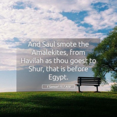 Picture 05 - 1 Samuel 15:7 ASV - And Saul smote the Amalekites, from Havilah as - Bible Verse Picture