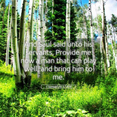 Picture 05 - 1 Samuel 16:17 ASV - And Saul said unto his servants, Provide me now a - Bible Verse Picture