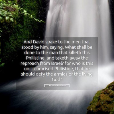 Picture 05 - 1 Samuel 17:26 ASV - And David spake to the men that stood by him, - Bible Verse Picture