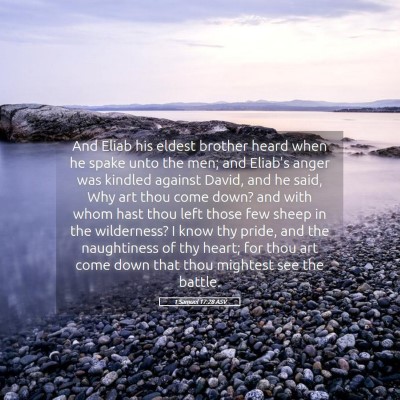 Picture 05 - 1 Samuel 17:28 ASV - And Eliab his eldest brother heard when he spake - Bible Verse Picture