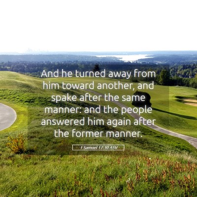Picture 05 - 1 Samuel 17:30 ASV - And he turned away from him toward another, and - Bible Verse Picture