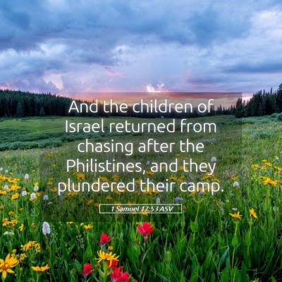 Picture 05 - 1 Samuel 17:53 ASV - And the children of Israel returned from chasing - Bible Verse Picture