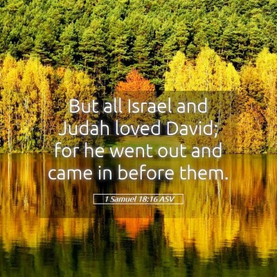 Picture 05 - 1 Samuel 18:16 ASV - But all Israel and Judah loved David; for he went - Bible Verse Picture