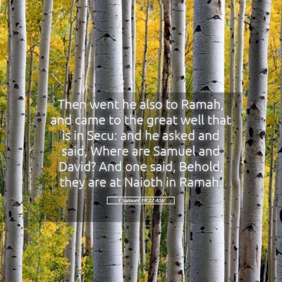 Picture 05 - 1 Samuel 19:22 ASV - Then went he also to Ramah, and came to the great - Bible Verse Picture