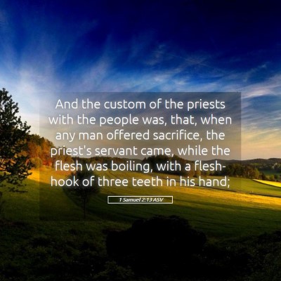 Picture 05 - 1 Samuel 2:13 ASV - And the custom of the priests with the people - Bible Verse Picture