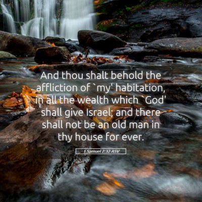 Picture 05 - 1 Samuel 2:32 ASV - And thou shalt behold the affliction of `my' - Bible Verse Picture