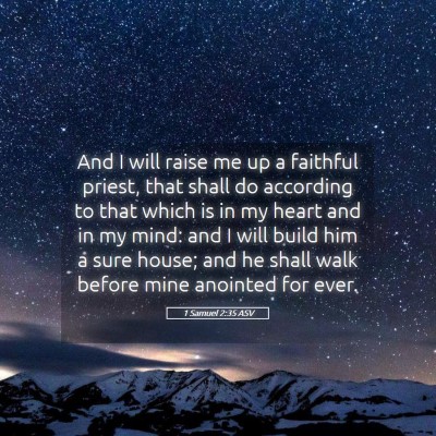 Picture 05 - 1 Samuel 2:35 ASV - And I will raise me up a faithful priest, that - Bible Verse Picture