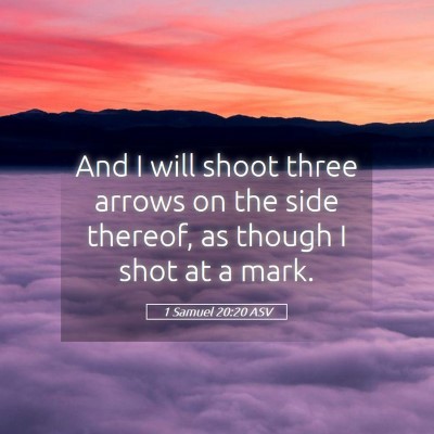 Picture 05 - 1 Samuel 20:20 ASV - And I will shoot three arrows on the side - Bible Verse Picture