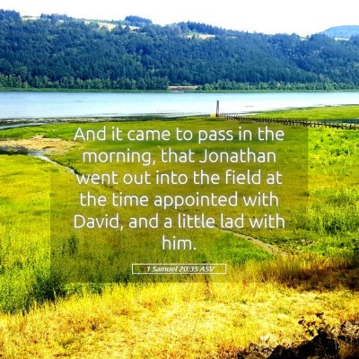 Picture 05 - 1 Samuel 20:35 ASV - And it came to pass in the morning, that Jonathan - Bible Verse Picture