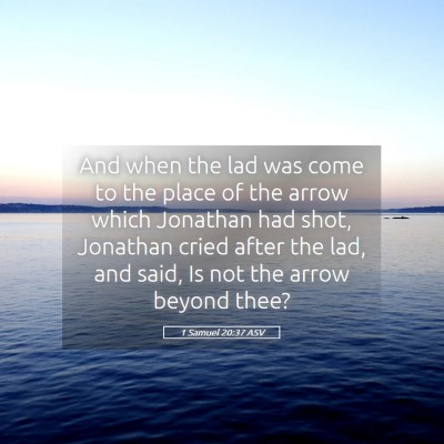 Picture 05 - 1 Samuel 20:37 ASV - And when the lad was come to the place of the - Bible Verse Picture
