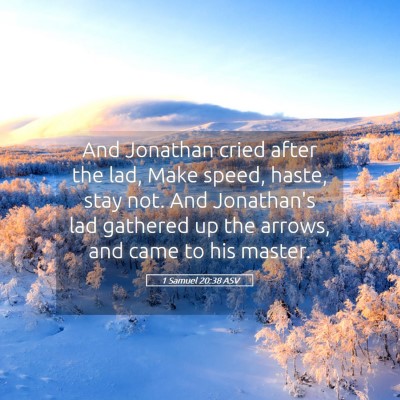 Picture 05 - 1 Samuel 20:38 ASV - And Jonathan cried after the lad, Make speed, - Bible Verse Picture