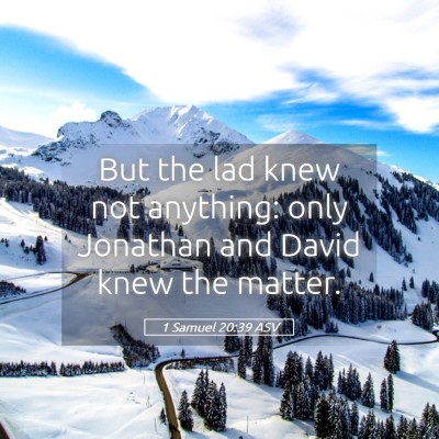 Picture 05 - 1 Samuel 20:39 ASV - But the lad knew not anything: only Jonathan and - Bible Verse Picture