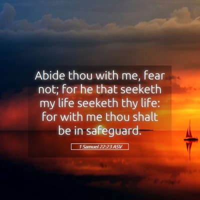 Picture 05 - 1 Samuel 22:23 ASV - Abide thou with me, fear not; for he that seeketh - Bible Verse Picture