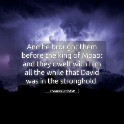 Picture 05 - 1 Samuel 22:4 ASV - And he brought them before the king of Moab: and - Bible Verse Picture