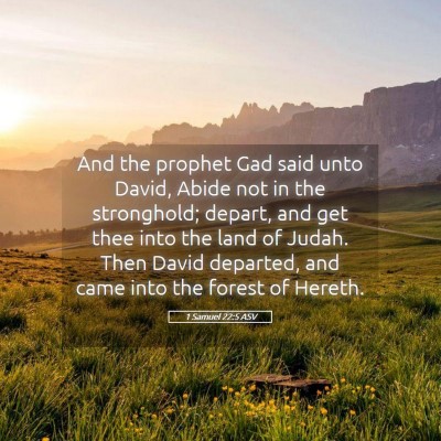 Picture 05 - 1 Samuel 22:5 ASV - And the prophet Gad said unto David, Abide not in - Bible Verse Picture