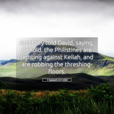 Picture 05 - 1 Samuel 23:1 ASV - And they told David, saying, Behold, the - Bible Verse Picture