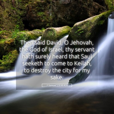 Picture 05 - 1 Samuel 23:10 ASV - Then said David, O Jehovah, the God of Israel, - Bible Verse Picture