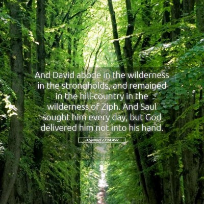 Picture 05 - 1 Samuel 23:14 ASV - And David abode in the wilderness in the - Bible Verse Picture