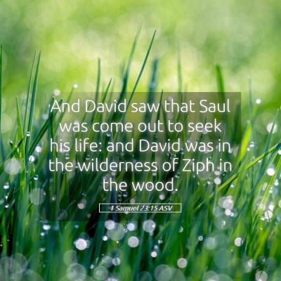Picture 05 - 1 Samuel 23:15 ASV - And David saw that Saul was come out to seek his - Bible Verse Picture