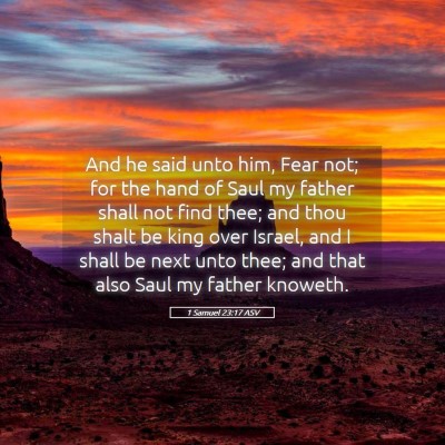Picture 05 - 1 Samuel 23:17 ASV - And he said unto him, Fear not; for the hand of - Bible Verse Picture