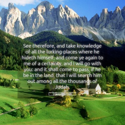 Picture 05 - 1 Samuel 23:23 ASV - See therefore, and take knowledge of all the - Bible Verse Picture