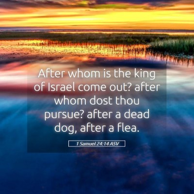 Picture 05 - 1 Samuel 24:14 ASV - After whom is the king of Israel come out? after - Bible Verse Picture